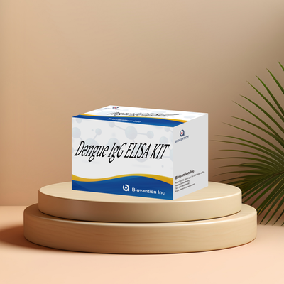 Anpassungsfähiger IgG-ELISA-Kit für Dengue mit hoher Empfindlichkeit für 96 Tests/Kit in klinischen Laboratorien